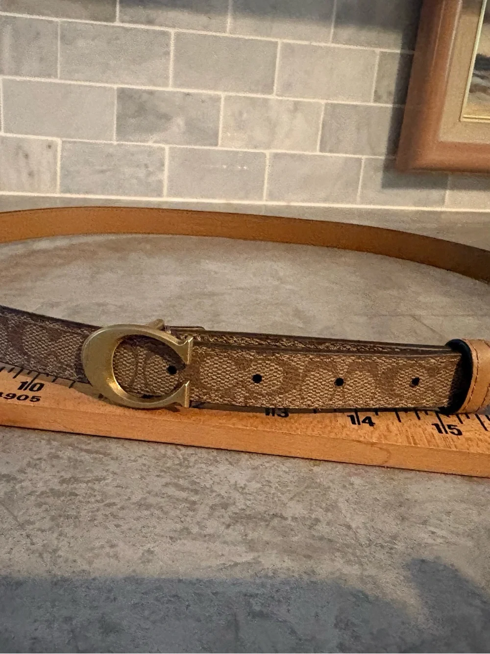 Coach Brown Signature Canvas Belt with Gold C Buckle XL